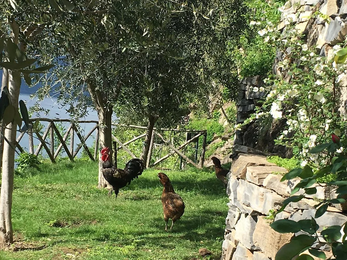 Castagna Holiday Home Nesso Italy