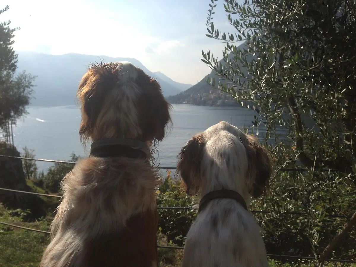 Castagna Holiday Home Nesso